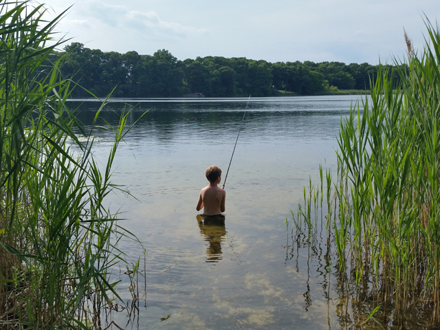Laurel Lake