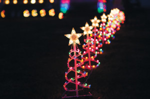 KATHARINE SCHROEDER PHOTO