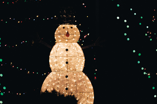 KATHARINE SCHROEDER PHOTO