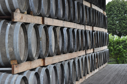 Long Island vineyards North Fork 6