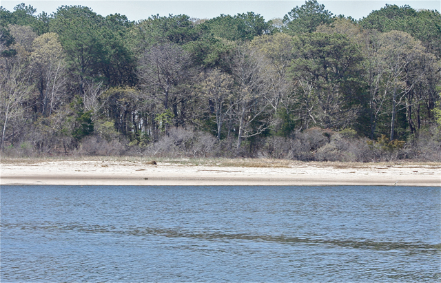 Meetinghouse Creek. (Credit: Barbaraellen Koch, file)