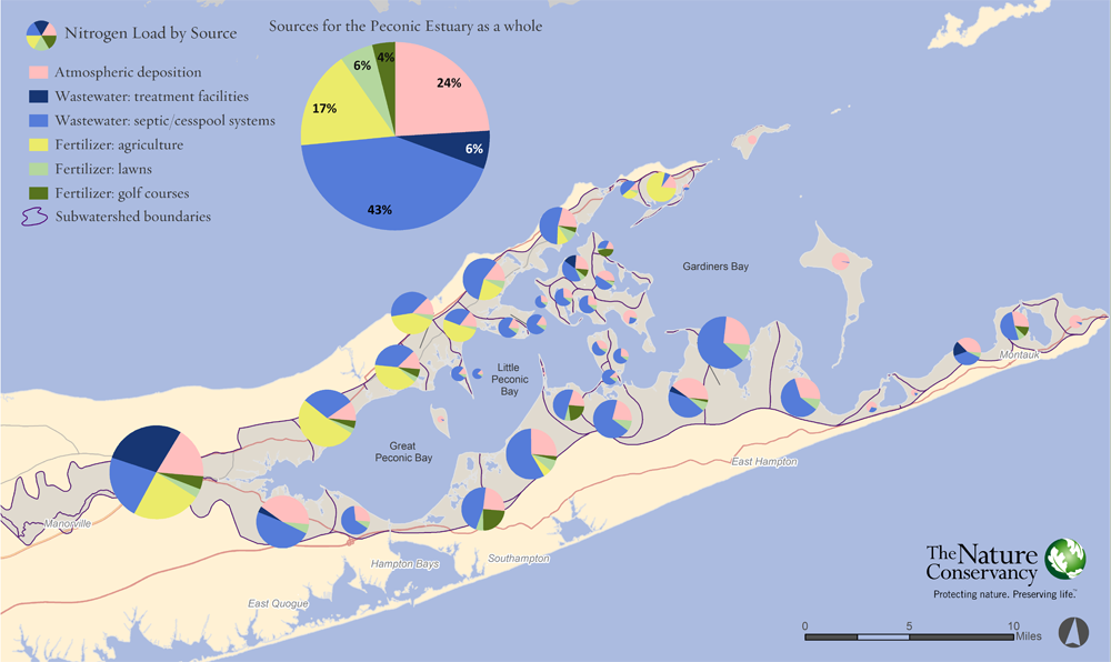 (Credit: The Nature Conservancy)