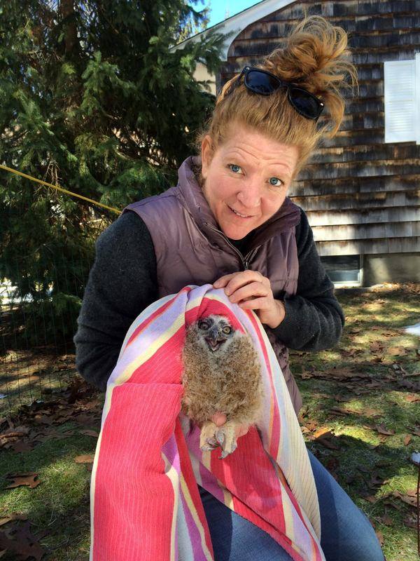 North Fork Animal Welfare League director Gillian Wood Pultz with the baby owl. (Credit: Gillian Wood Pultz)
