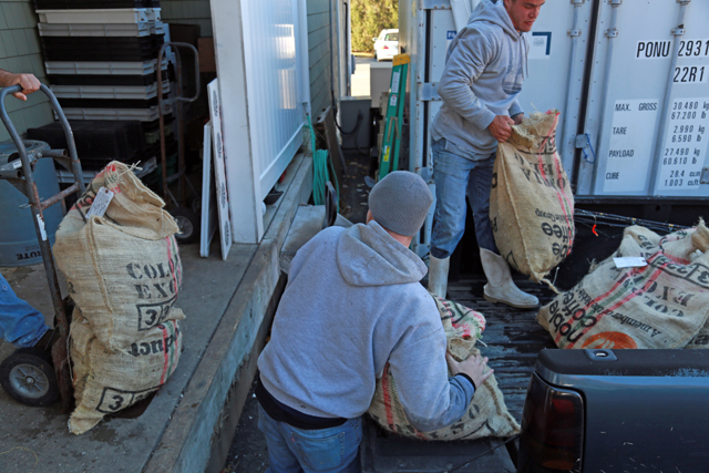 Zach Auer, standing in the truck, unloads his seven bushels Monday. (Credit: Krysten Massa)