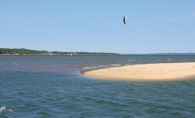 T0626_Water_Bill_BE_R.jpg