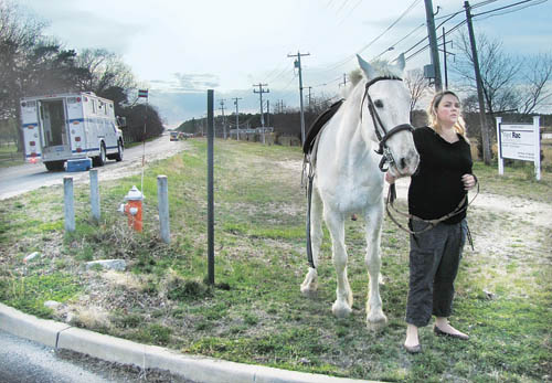 Horses manorville wildfire