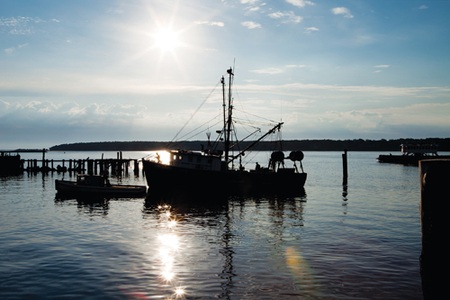 KATHARINE SCHROEDER PHOTO | A commercial fishing boat docked in Greenport.
