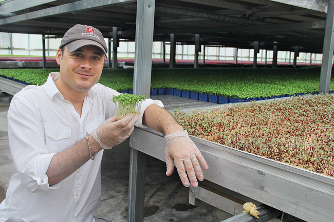 Nicholas Mazard, director of sales and marketing for Koppert Cress USA, explained that natural fiber is used instead of soil to grow microgreens, enabling the live plant products to arrive at restaurants without bringing 'dirt into their kitchens.' (Credit: Carrie Miller)