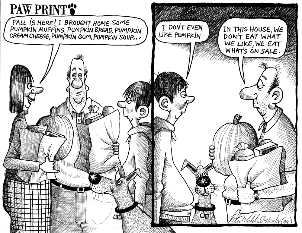 Peter Waldner cartoon