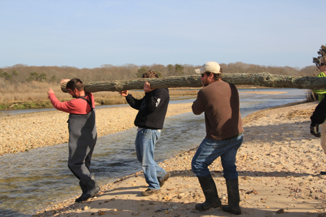 web_T031512_osprey_jen