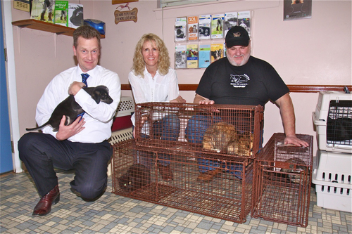 FEral Cats in Riverhead